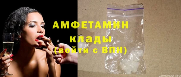 индика Арсеньев