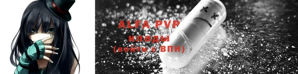 индика Арсеньев