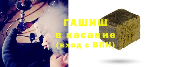 индика Арсеньев