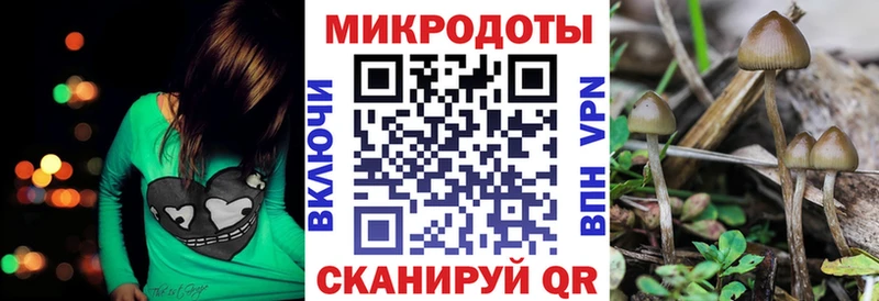 Галлюциногенные грибы прущие грибы  Ленинск-Кузнецкий 